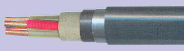 Фото Провод ПвБШв 1x400