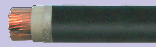 Фото Кабель ППГнг-HF 3x2,5