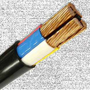 Фото Кабель ВВГнг-LS-П 2x4.0